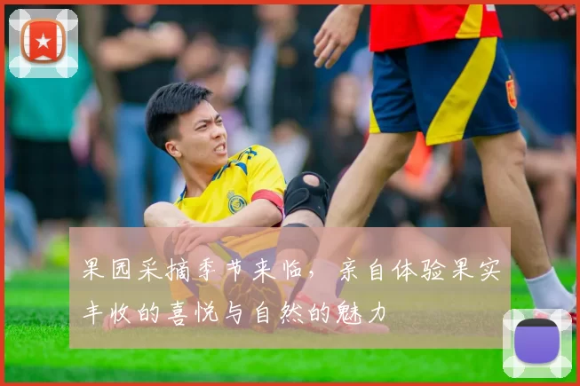 果园采摘季节来临,亲自体验果实丰收的喜悦与自然的魅力