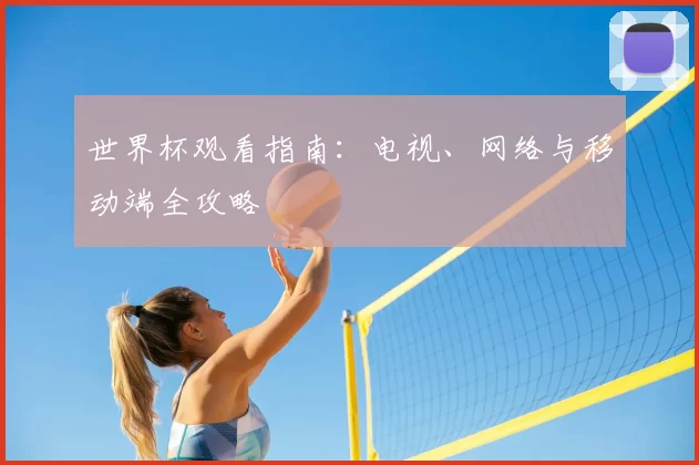 世界杯观看指南：电视、网络与移动端全攻略