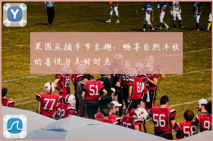 果园采摘季节乐趣,畅享自然丰收的喜悦与美好时光