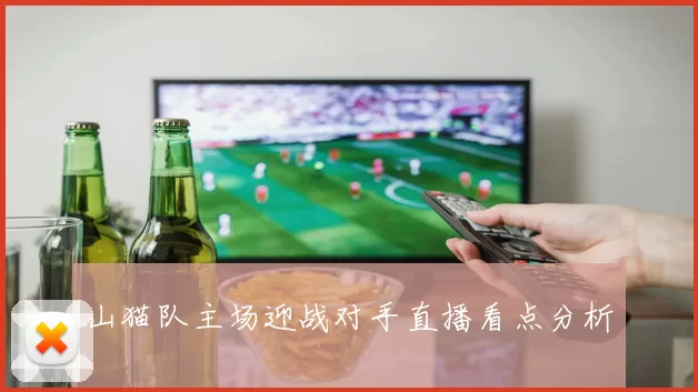 山猫队主场迎战对手直播看点分析