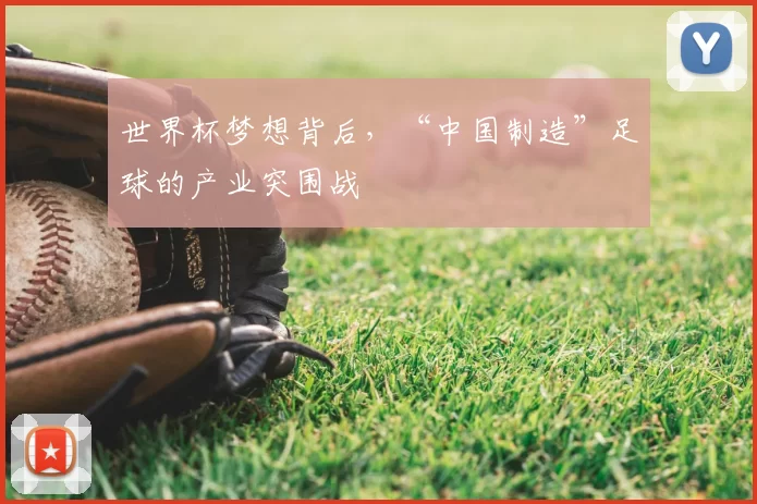 世界杯梦想背后,“中国制造”足球的产业突围战