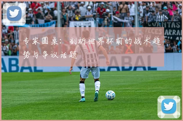 专家圆桌：剖析世界杯前的战术趋势与争议话题