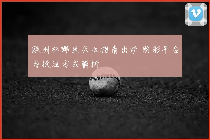 欧洲杯哪里买注指南出炉 购彩平台与投注方式解析