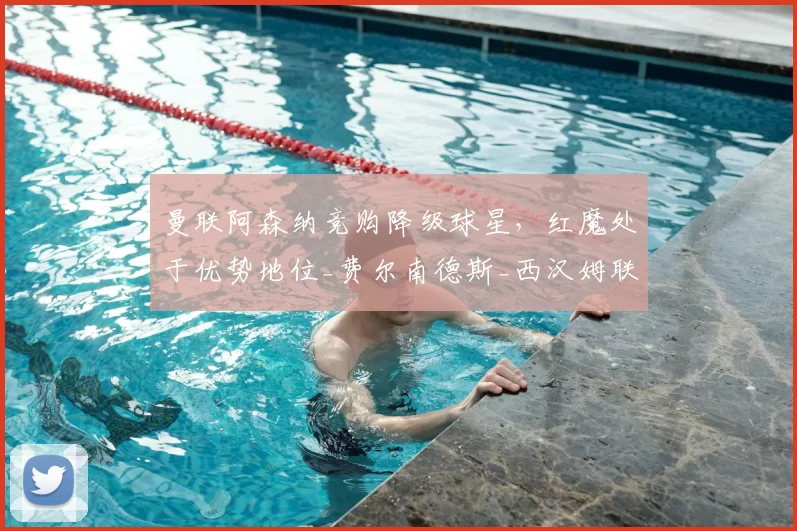 曼联阿森纳竞购降级球星,红魔处于优势地位_费尔南德斯_西汉姆联_欧冠
