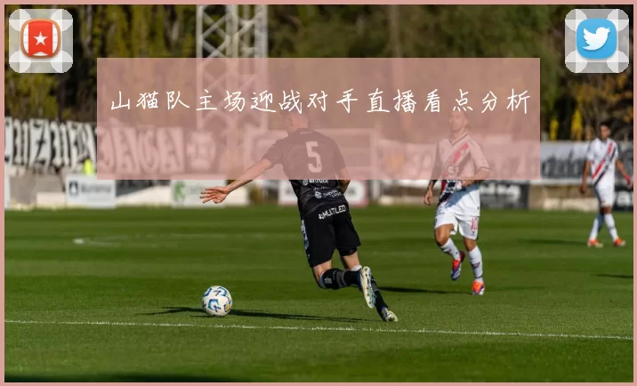 山猫队主场迎战对手直播看点分析