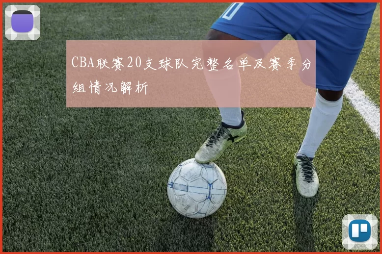 CBA联赛20支球队完整名单及赛季分组情况解析