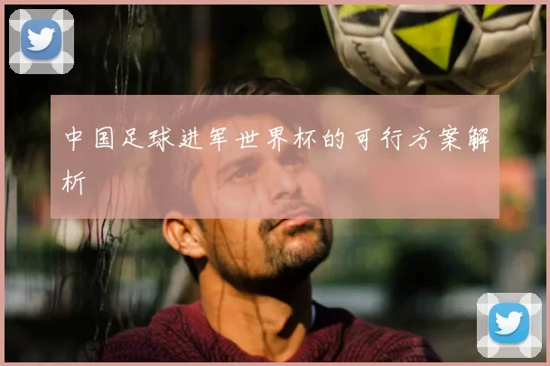 中国足球进军世界杯的可行方案解析