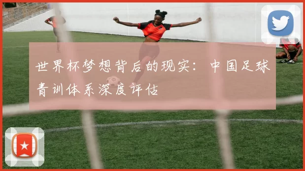 世界杯梦想背后的现实：中国足球青训体系深度评估