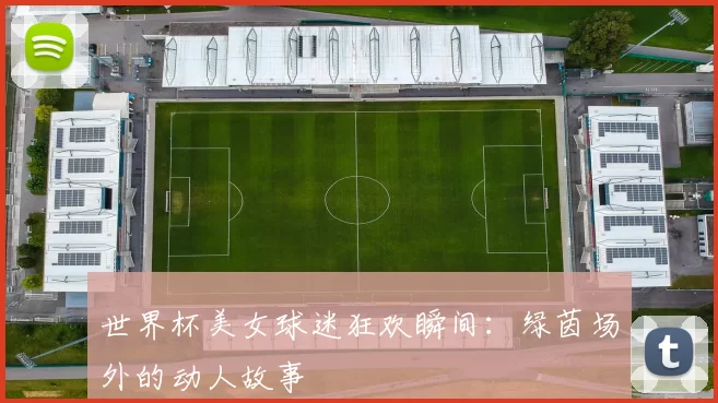 世界杯美女球迷狂欢瞬间：绿茵场外的动人故事