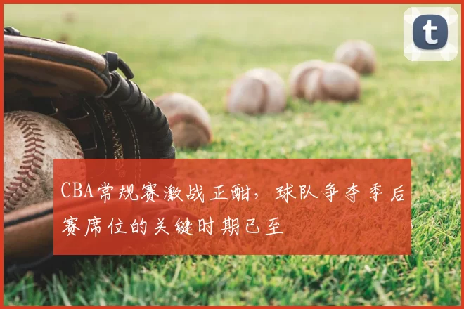 CBA常规赛激战正酣,球队争夺季后赛席位的关键时期已至