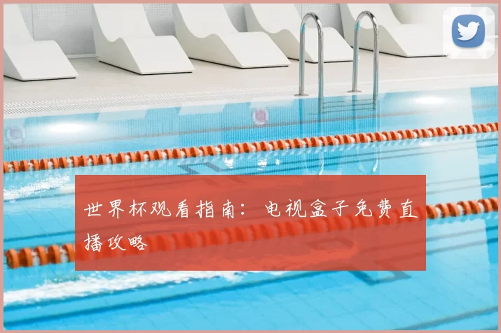 世界杯观看指南：电视盒子免费直播攻略