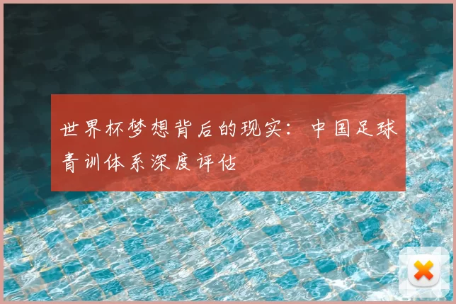 世界杯梦想背后的现实：中国足球青训体系深度评估