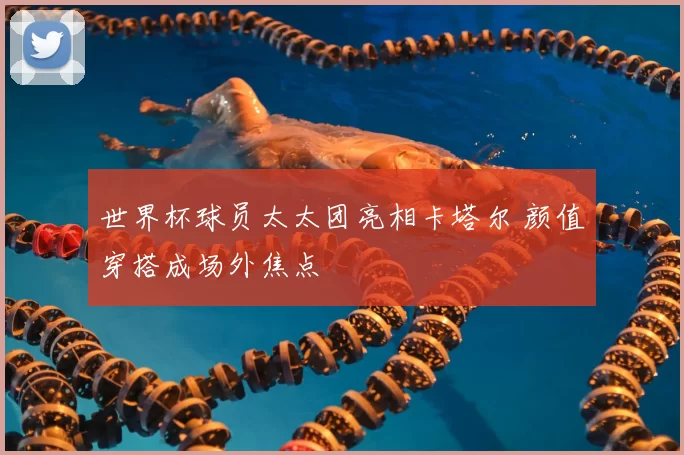 世界杯球员太太团亮相卡塔尔 颜值穿搭成场外焦点