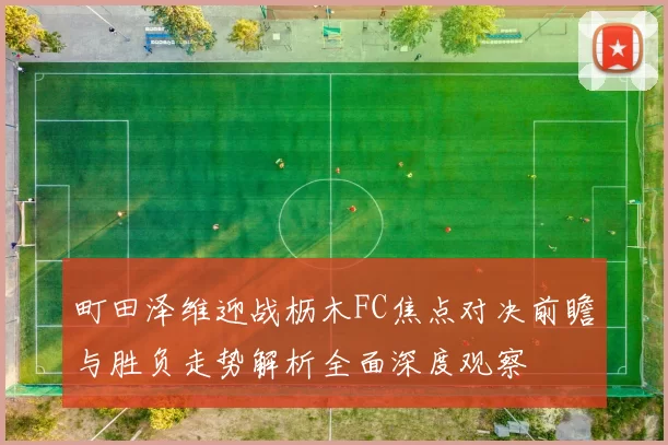 町田泽维迎战枥木FC焦点对决前瞻与胜负走势解析全面深度观察