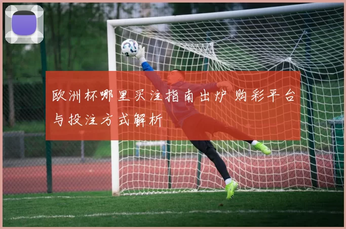 欧洲杯哪里买注指南出炉 购彩平台与投注方式解析