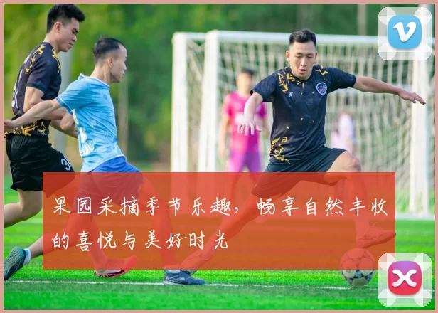 果园采摘季节乐趣,畅享自然丰收的喜悦与美好时光
