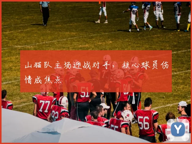 山猫队主场迎战对手,核心球员伤情成焦点