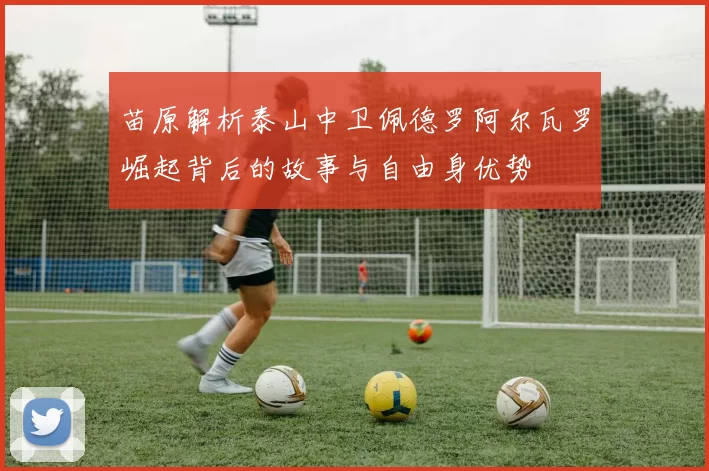 苗原解析泰山中卫佩德罗阿尔瓦罗崛起背后的故事与自由身优势