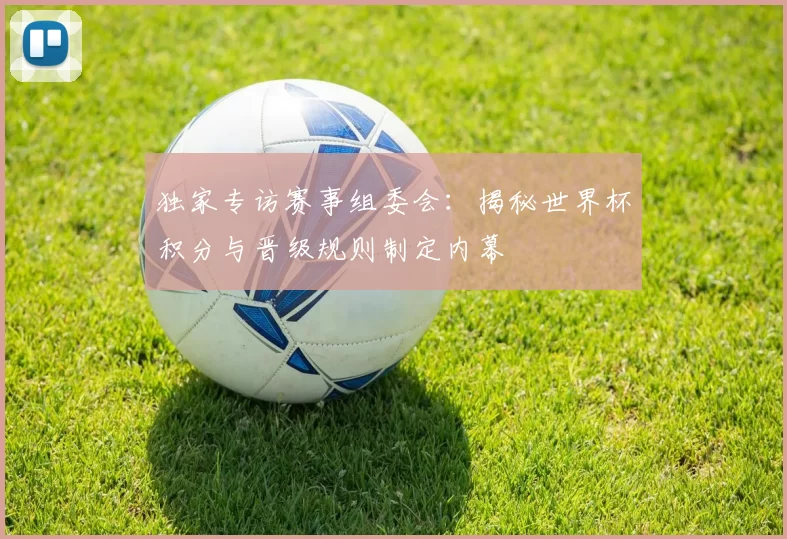 独家专访赛事组委会：揭秘世界杯积分与晋级规则制定内幕